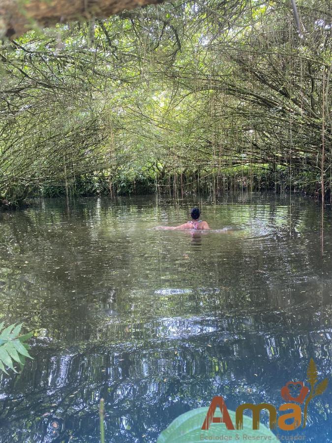 Ama Ecolodge Misahualli Luaran gambar