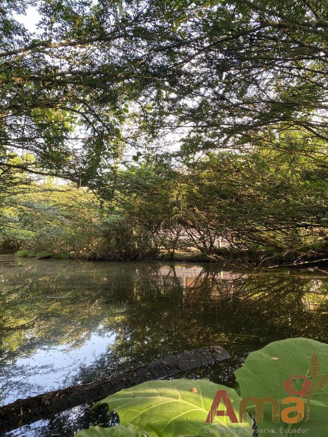 Ama Ecolodge Misahualli Luaran gambar